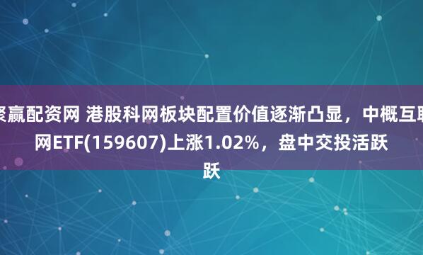 聚赢配资网 港股科网板块配置价值逐渐凸显，中概互联网ETF(159607)上涨1.02%，盘中交投活跃