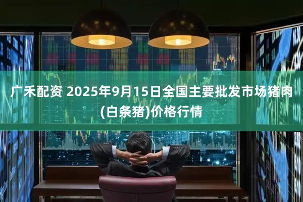 广禾配资 2025年9月15日全国主要批发市场猪肉(白条猪)价格行情