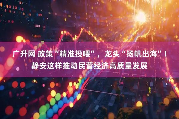 广升网 政策“精准投喂”，龙头“扬帆出海”！静安这样推动民营经济高质量发展