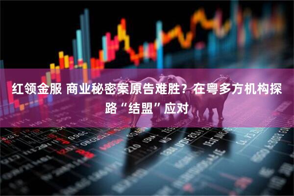 红领金服 商业秘密案原告难胜？在粤多方机构探路“结盟”应对